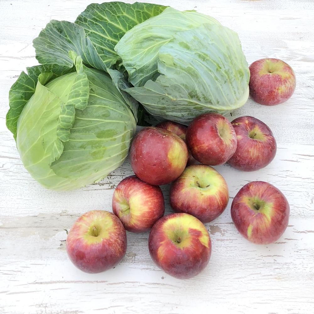 
          
            Recipe: Lactofermented Apple Carrot Kraut
          
        