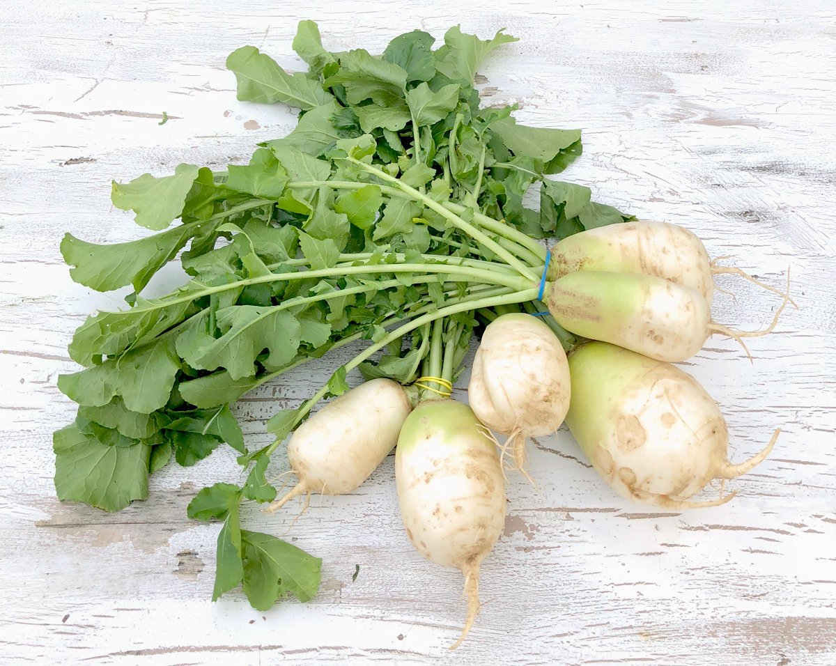 Recipe: Spicy Miso Korean Radish Kimchi (Kkakdugi) - And it's Vegan!