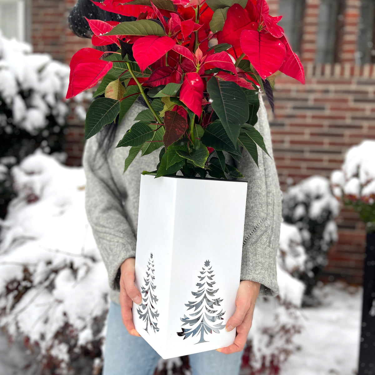 Christmas Decor - Centerpiece - Poinsettia Christmas Planter