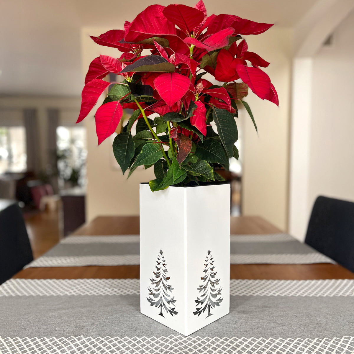 Christmas Decor - Centerpiece - Poinsettia Christmas Planter