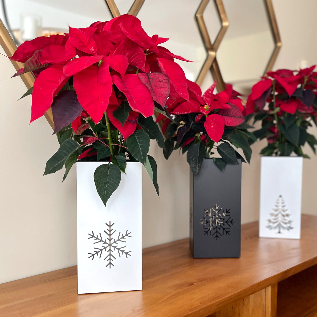 Christmas Decor - Centerpiece - Poinsettia Christmas Planter