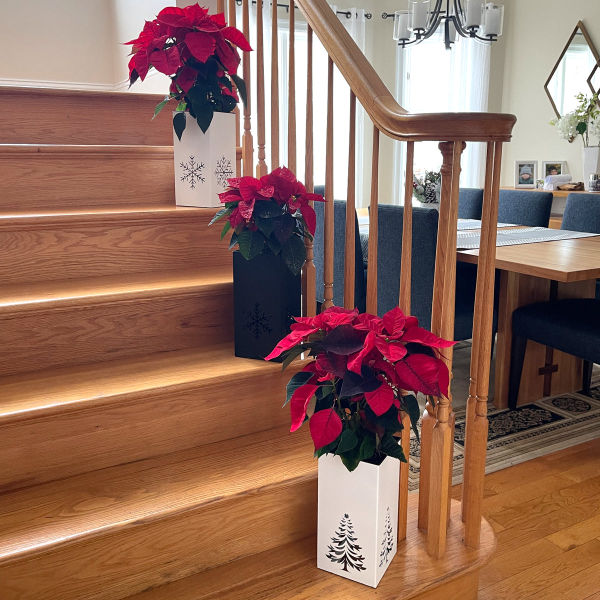 Christmas Decor - Centerpiece - Poinsettia Christmas Planter