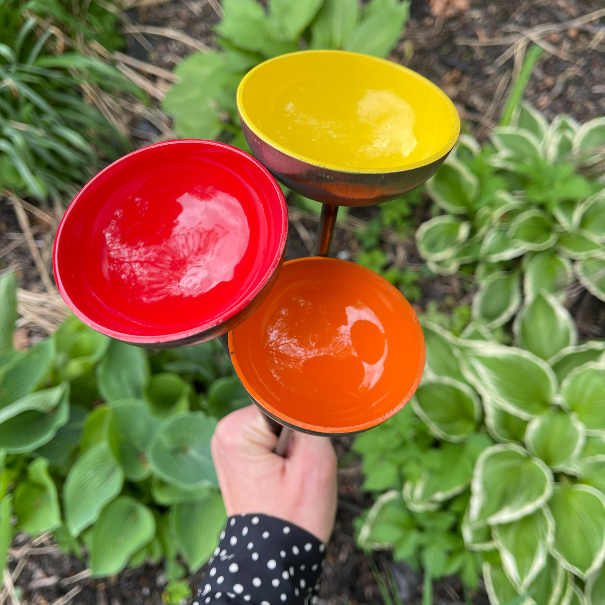 Garden Water Cup Flowers - Water Station for Butterflies &amp; Bees - SET OF 3