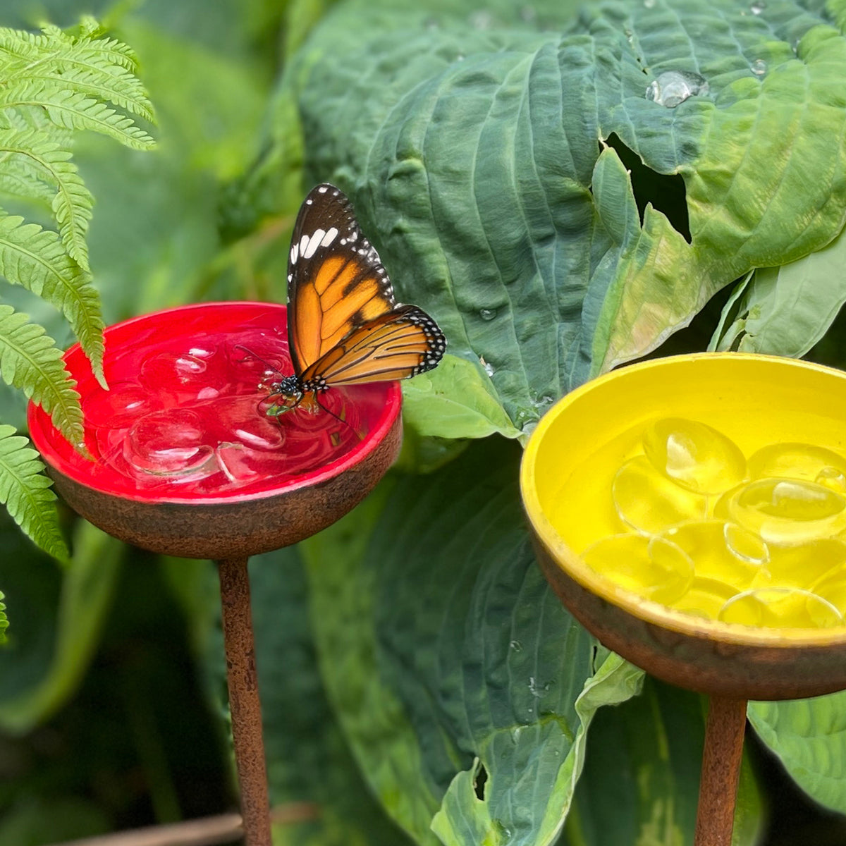 Garden Water Cup Flowers - Water Station for Butterflies &amp; Bees - SET OF 3