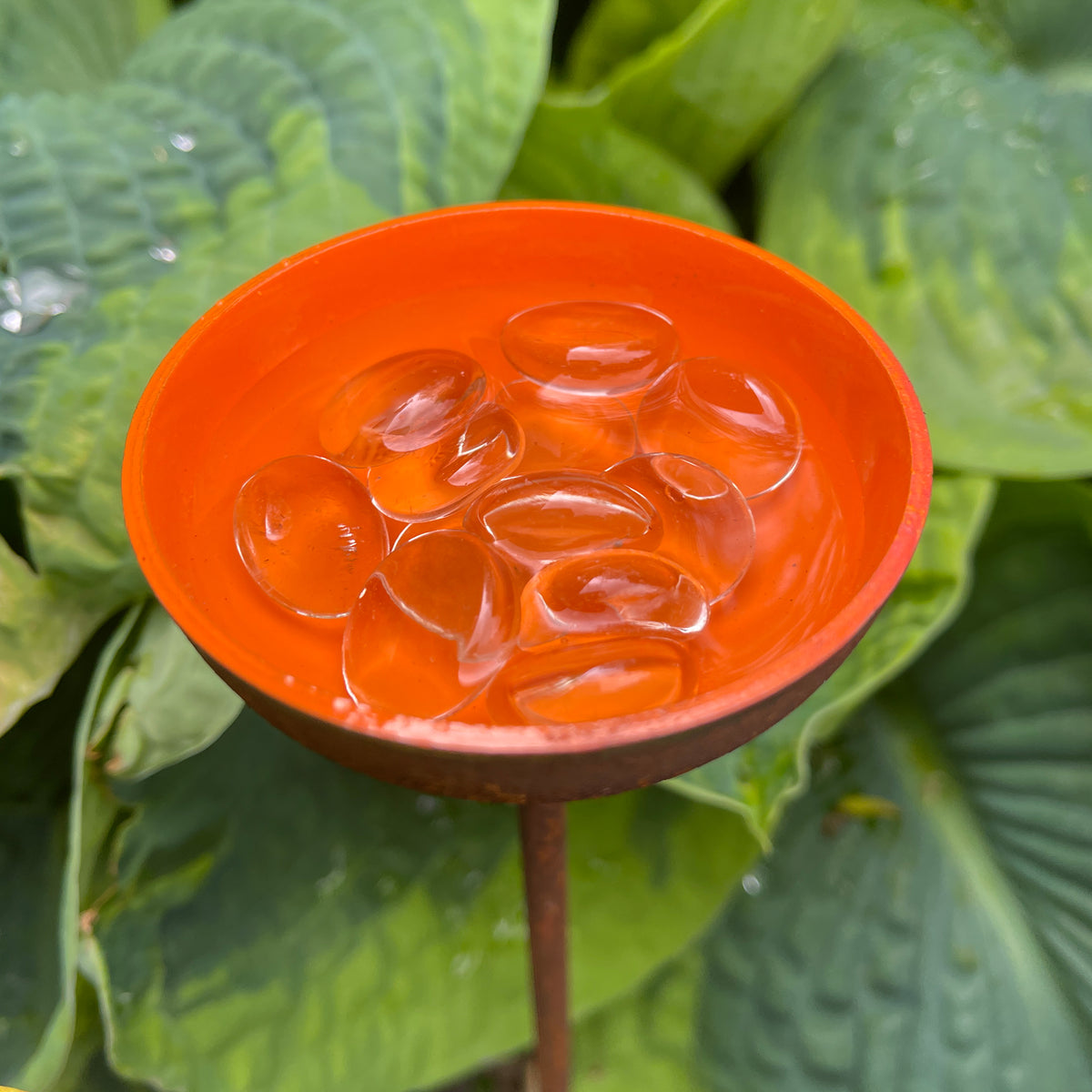 Garden Water Cup Flowers - Water Station for Butterflies &amp; Bees - SET OF 3