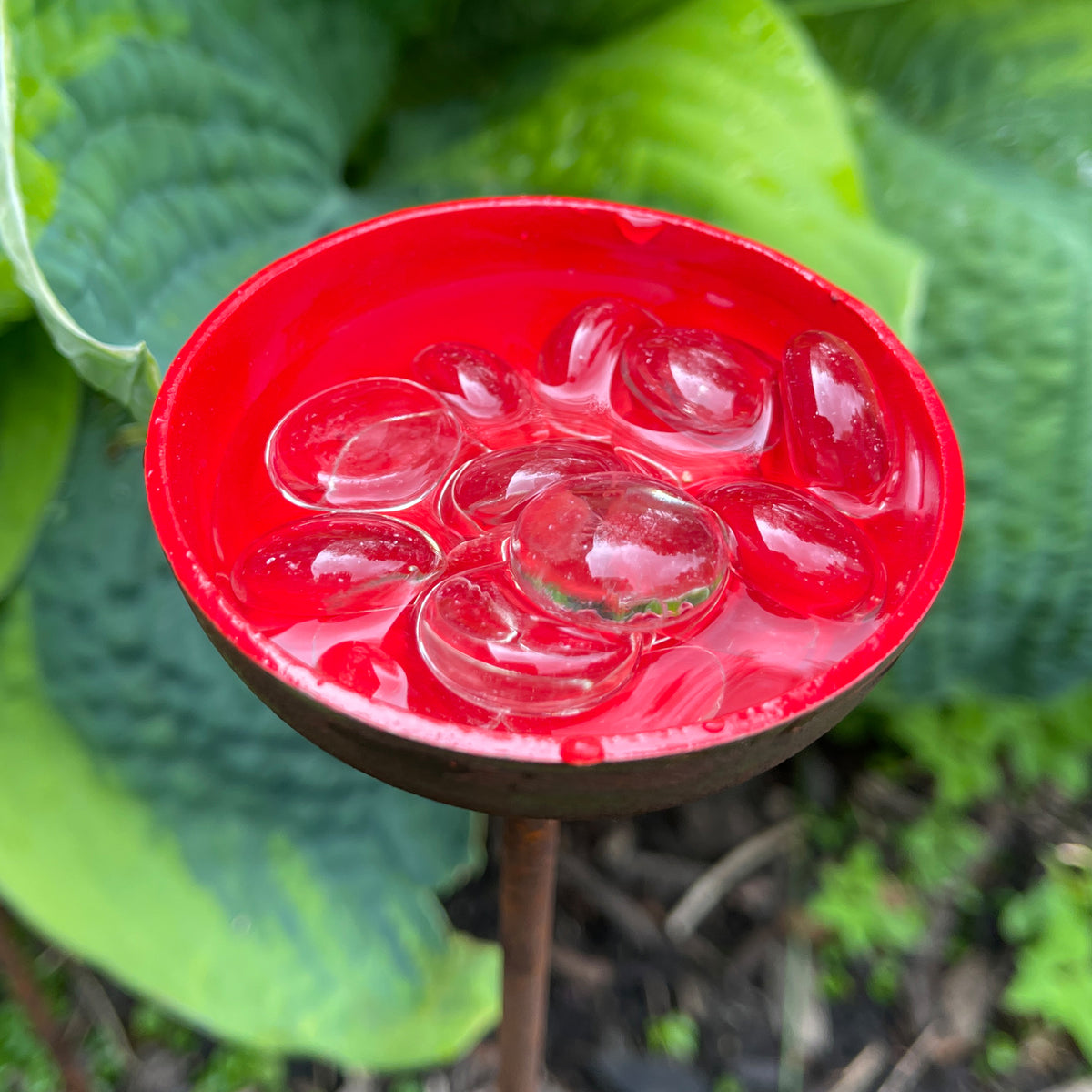 Garden Water Cup Flowers - Water Station for Butterflies &amp; Bees - SET OF 3