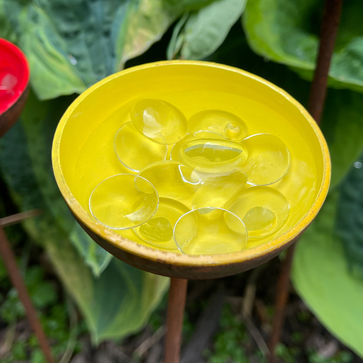 Garden Water Cup Flowers - Water Station for Butterflies &amp; Bees - SET OF 3