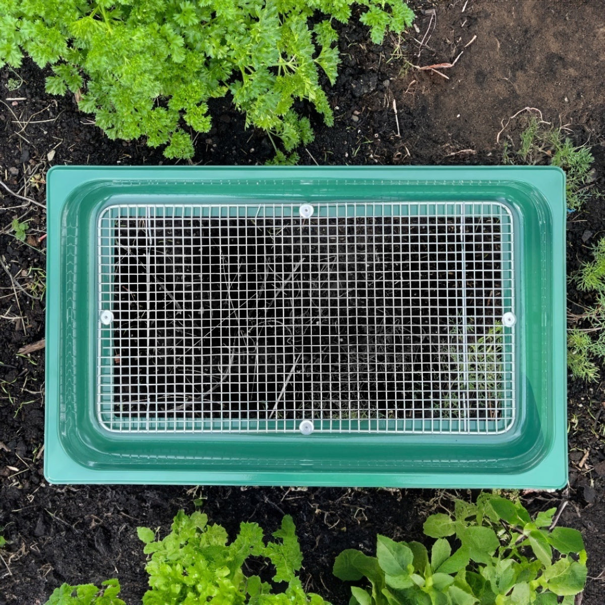 Garden Sifter - Compost, Dirt and Potting Soil