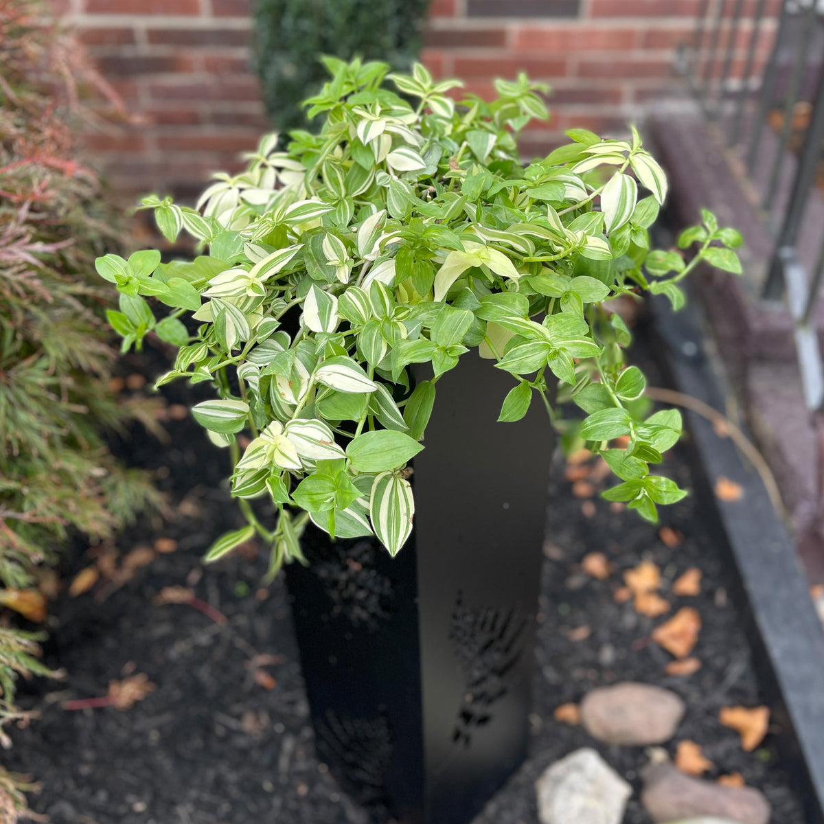 Metal Garden Planters - Fern Garden Planters with Solar Lights