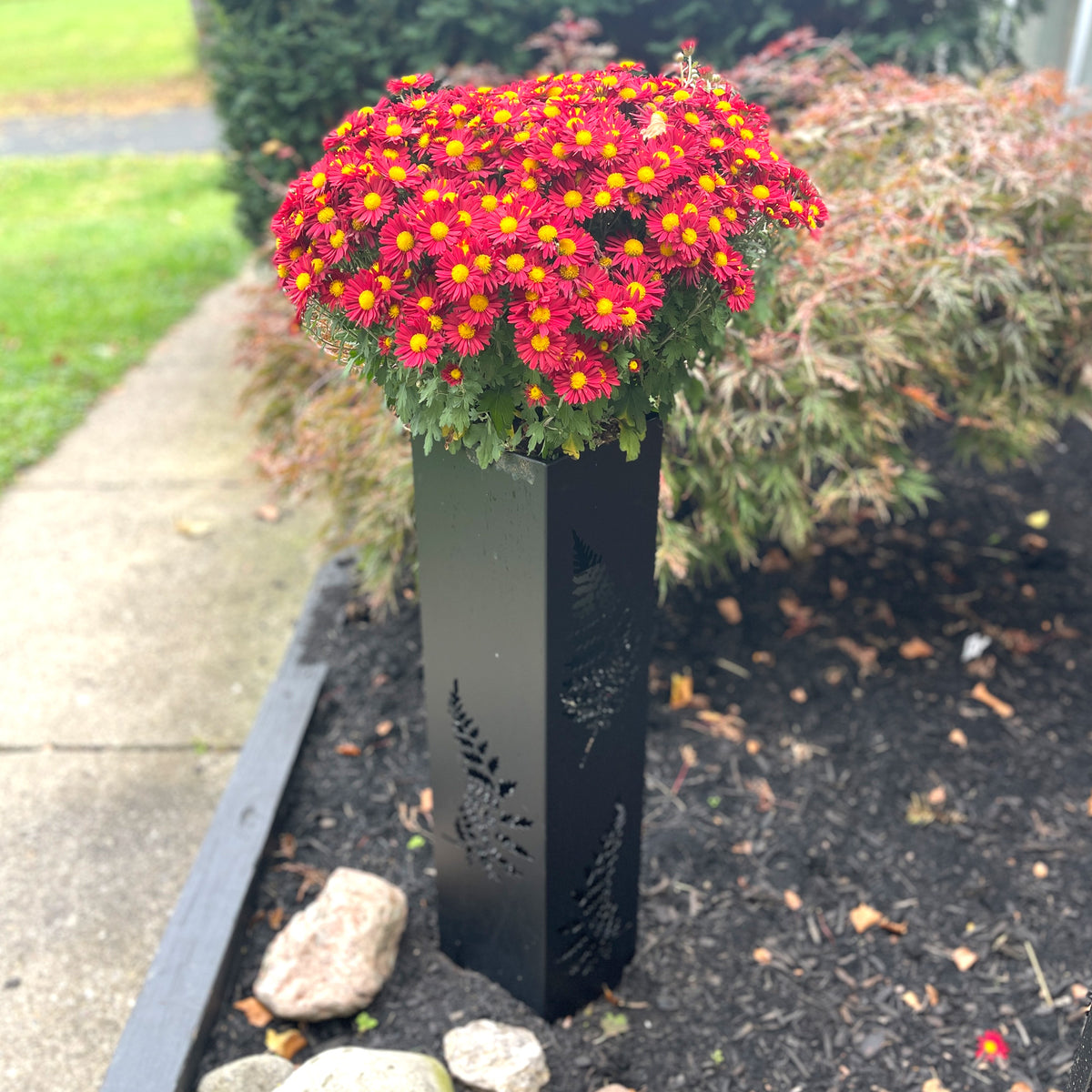 Metal Garden Planters - Fern Garden Planters with Solar Lights