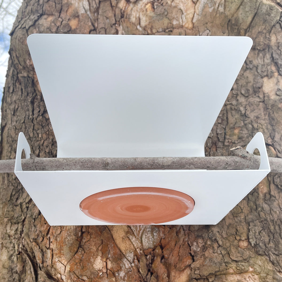 Modern BRANCH Bird Feeder