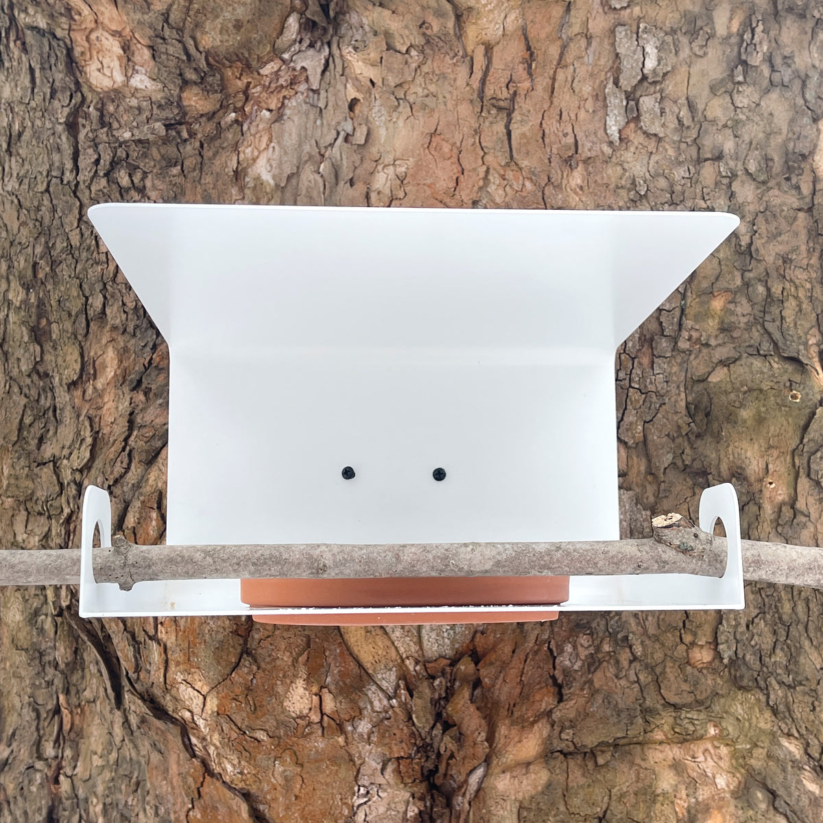 Modern BRANCH Bird Feeder