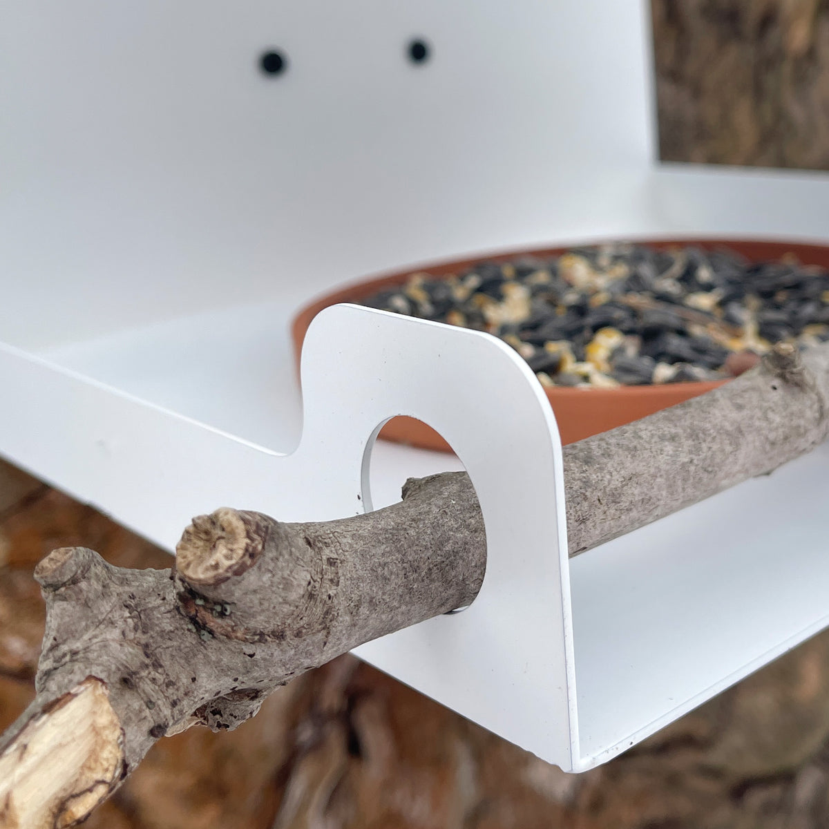 Modern BRANCH Bird Feeder