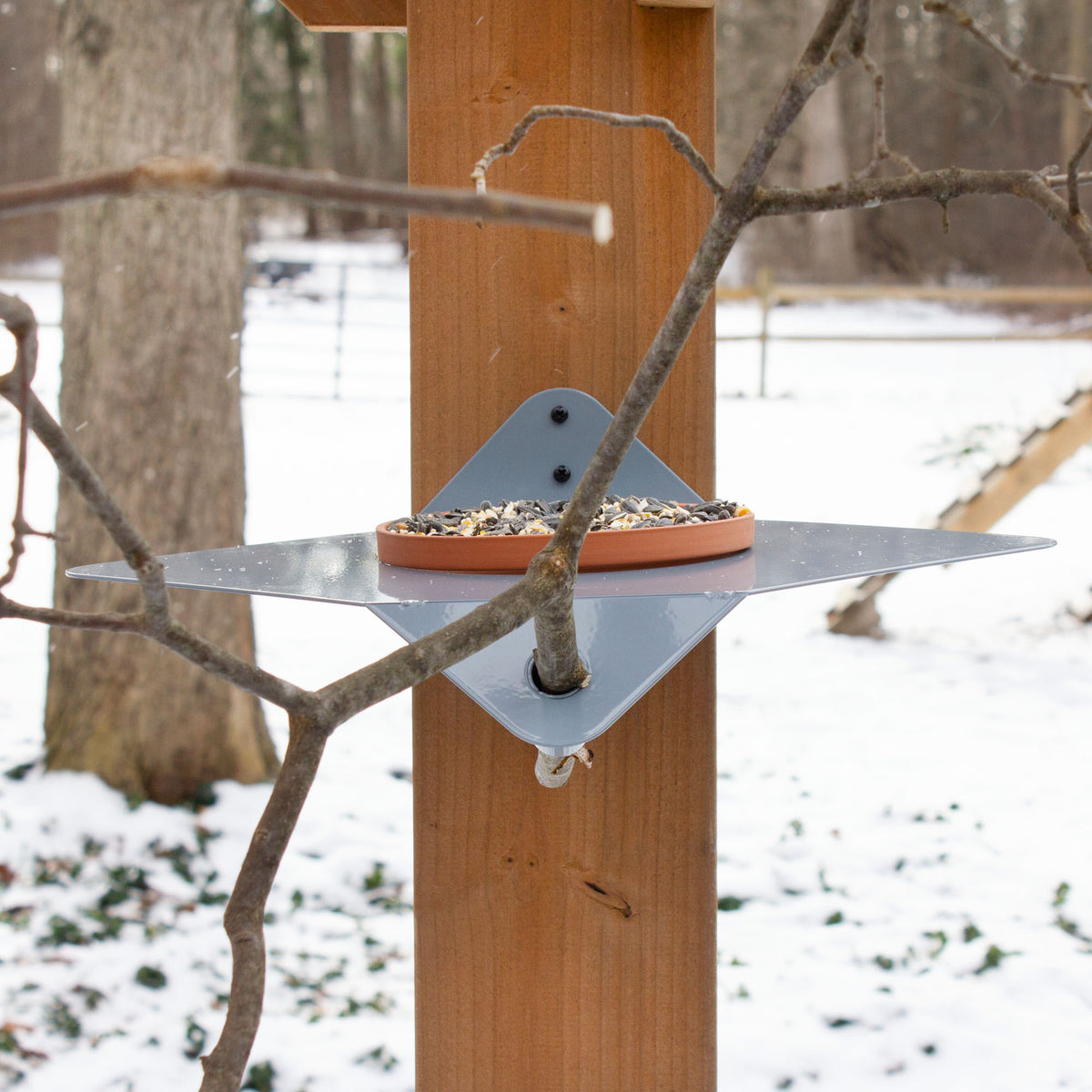 Branching Out Modern Bird Feeder