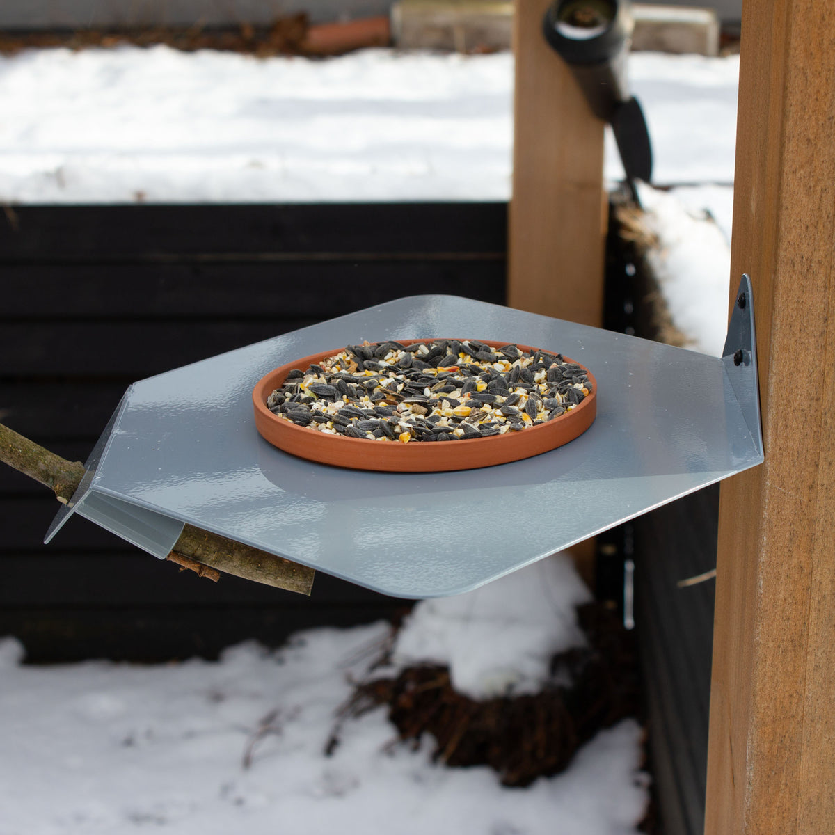 Branching Out Modern Bird Feeder