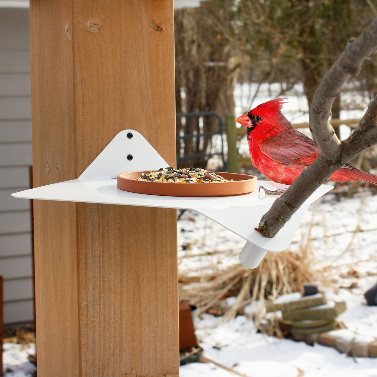 Branching Out Modern Bird Feeder