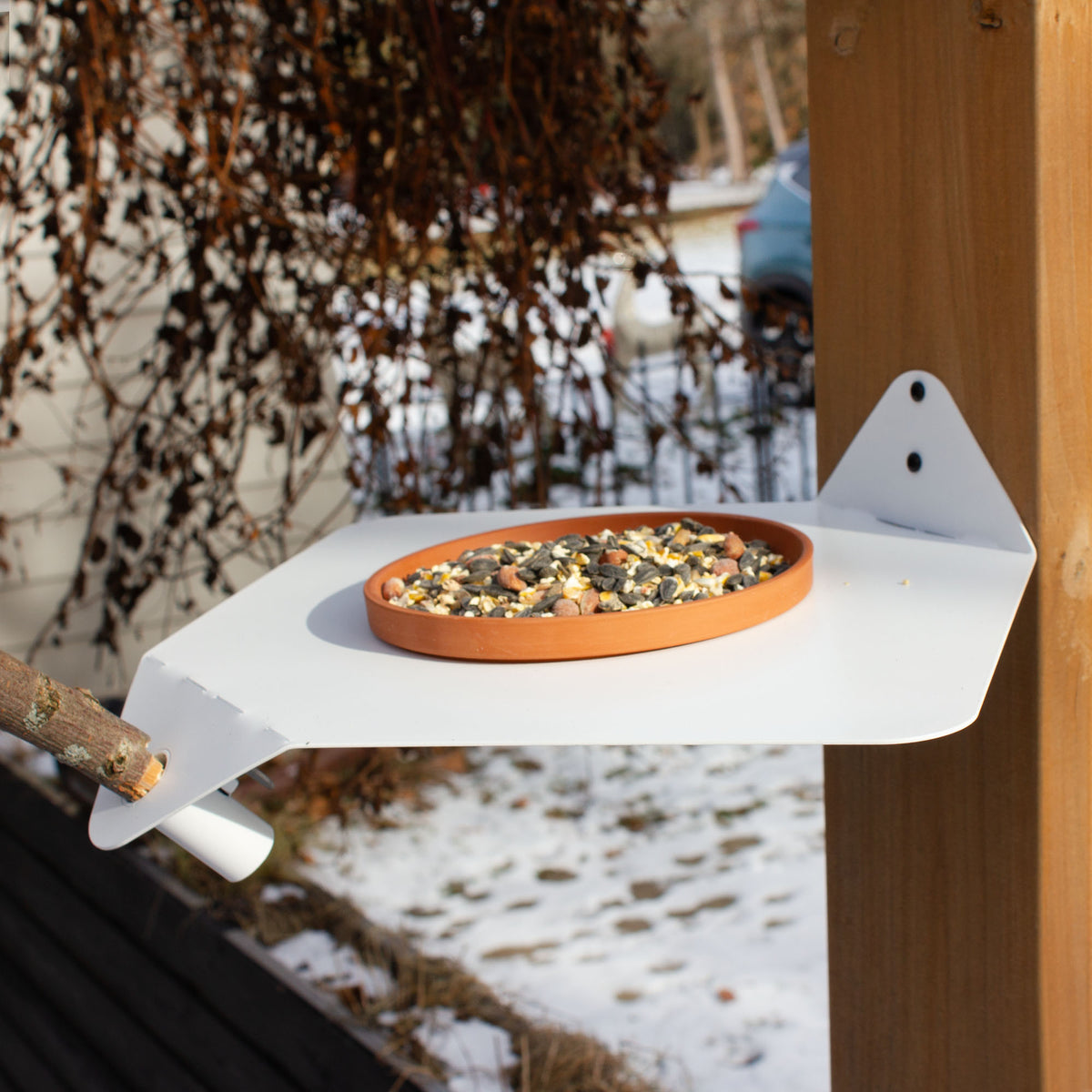 Branching Out Modern Bird Feeder