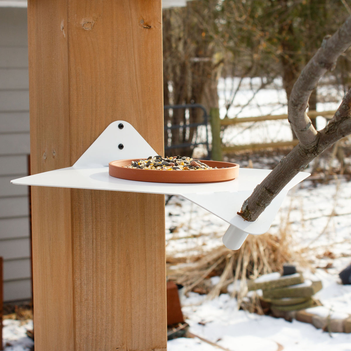 Branching Out Modern Bird Feeder