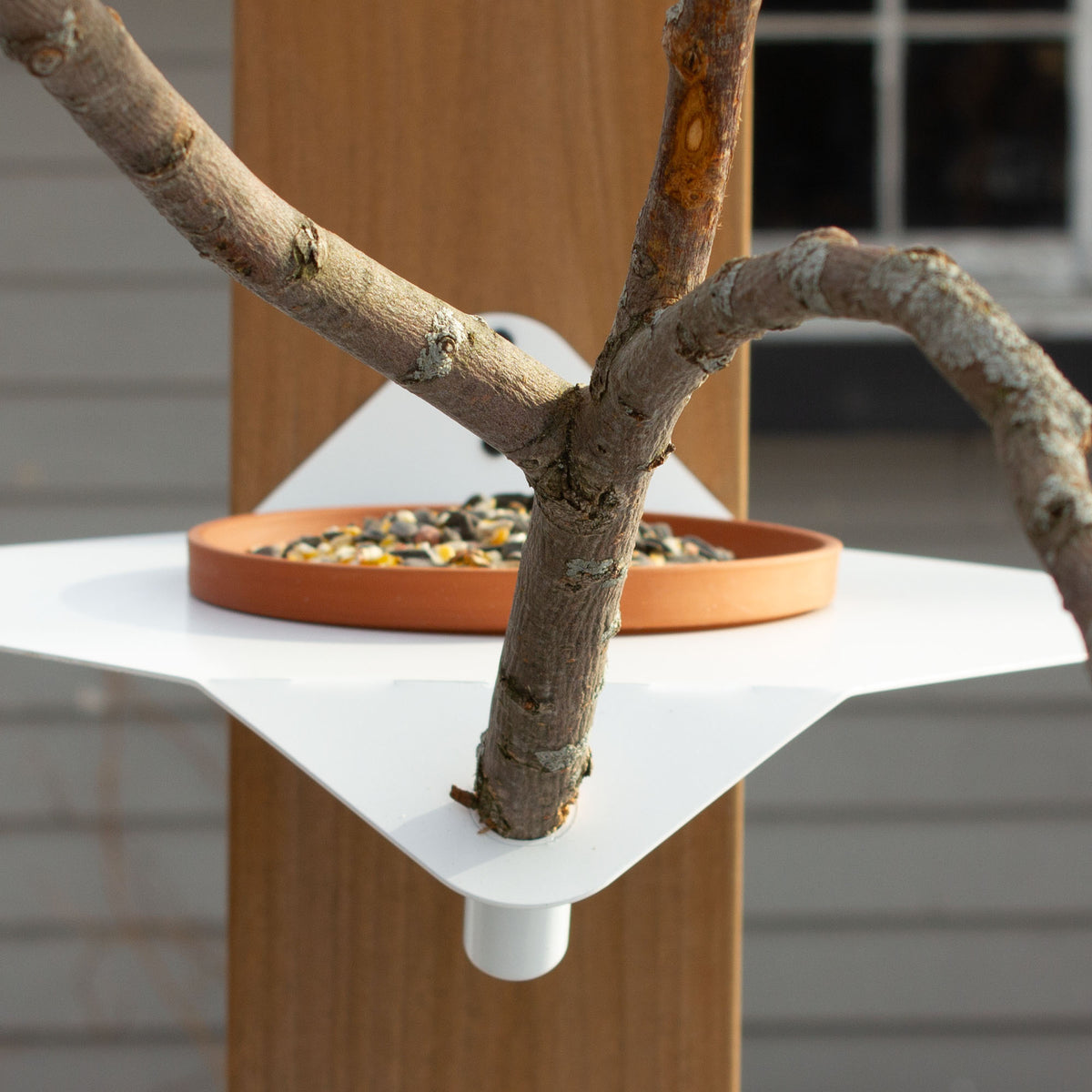 Branching Out Modern Bird Feeder