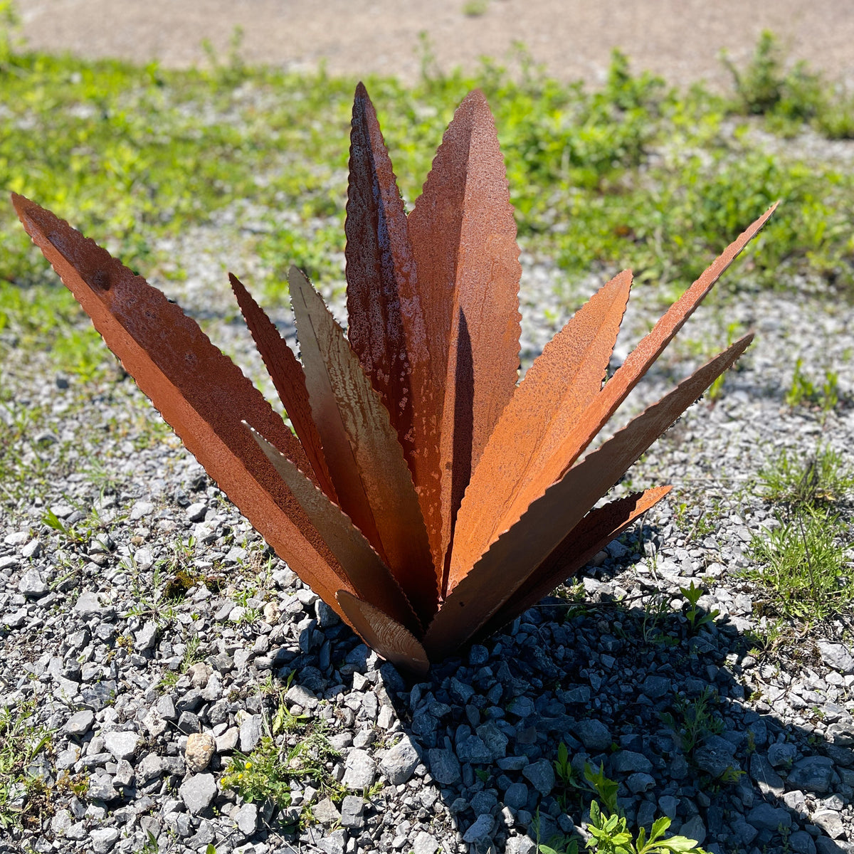 Rusted Steel Agave Cactus Garden Sculpture: Southwestern Landscape Art