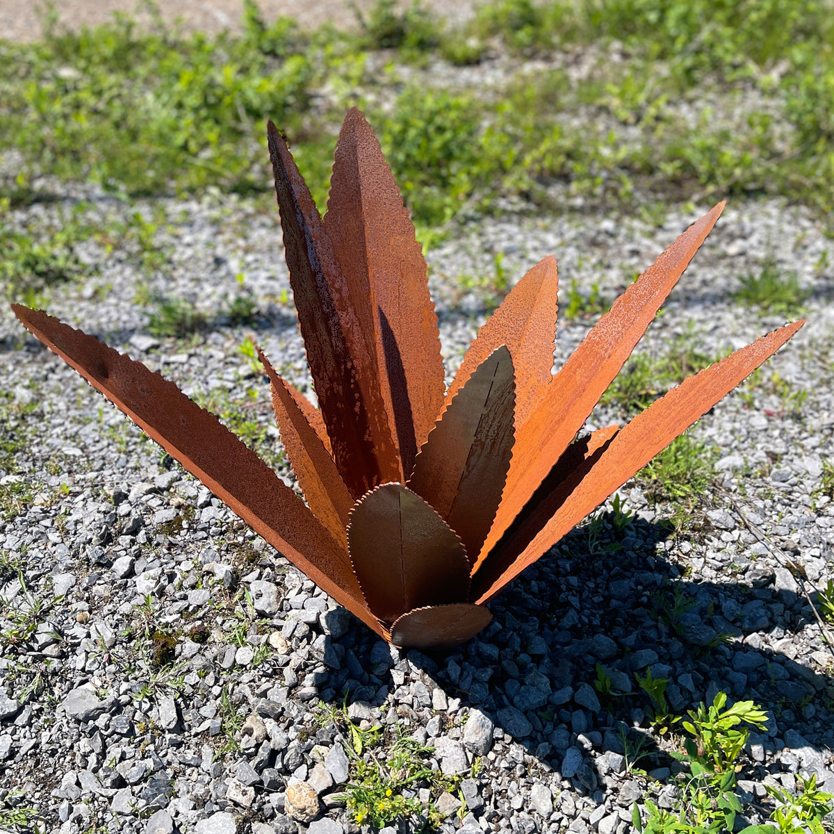 Rusted Steel Agave Cactus Garden Sculpture: Southwestern Landscape Art