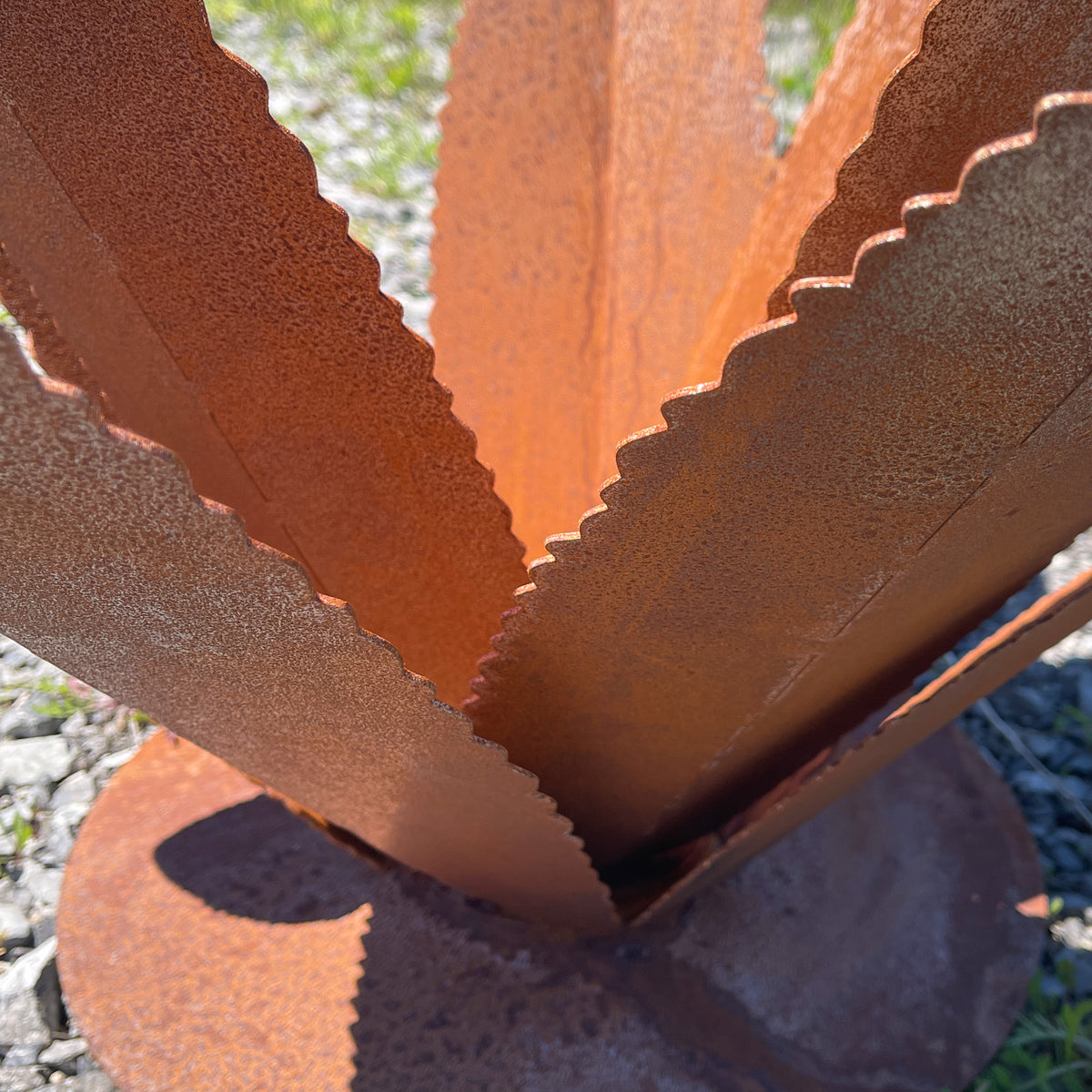 Rusted Steel Agave Cactus Garden Sculpture: Southwestern Landscape Art