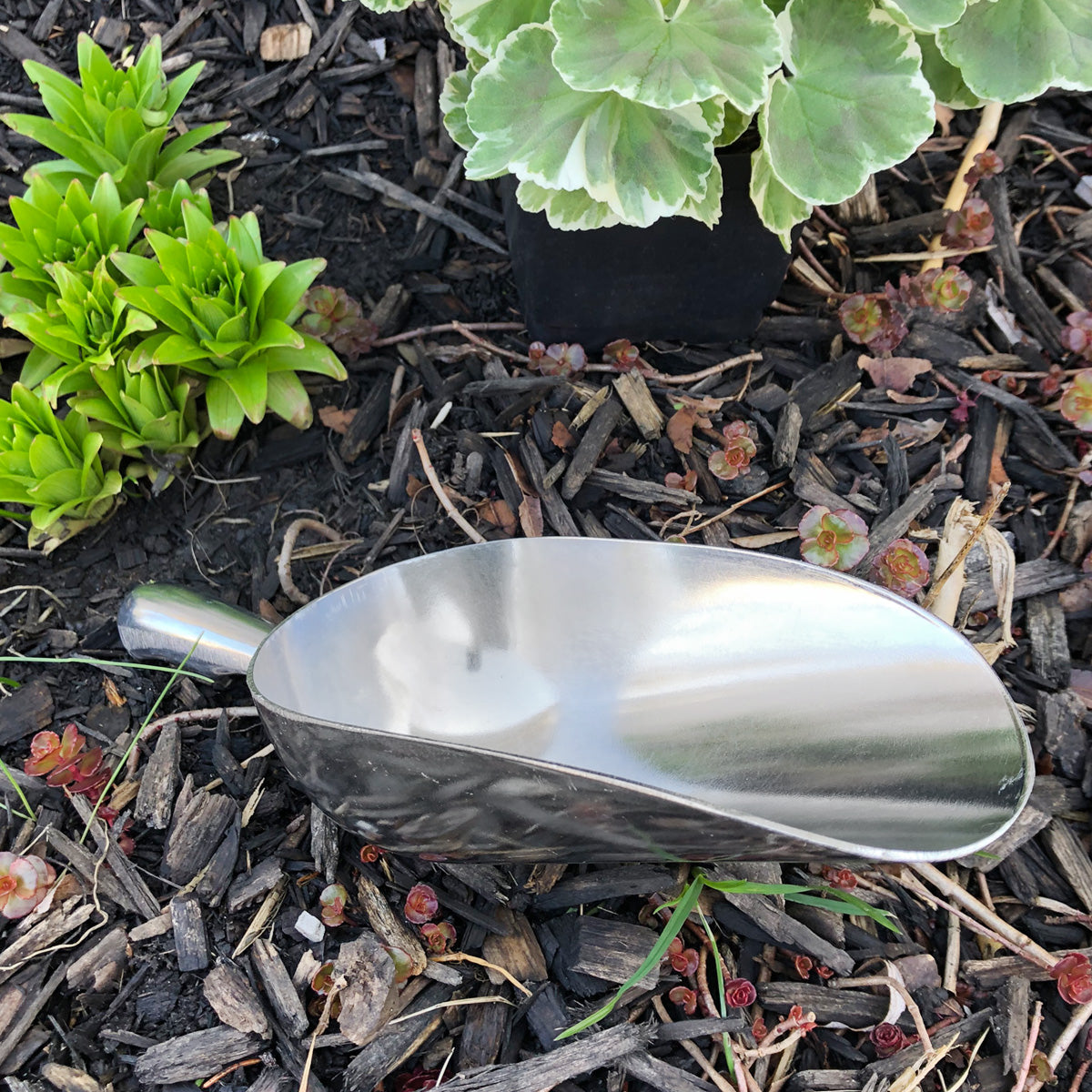 Hardware Store Style Garden Scoops - Set of 3