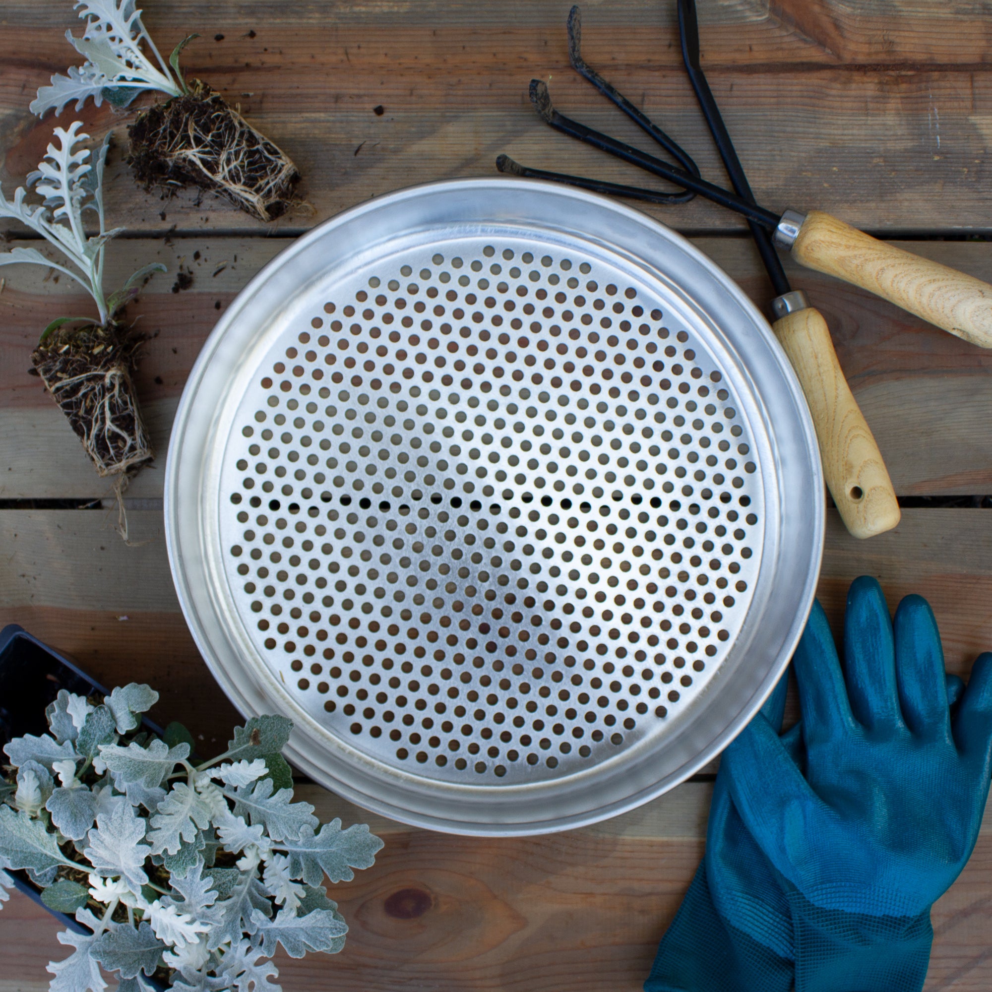 Round 12 inch Metal Garden Sifter - Multiple Size Hole Variations - Raw ...