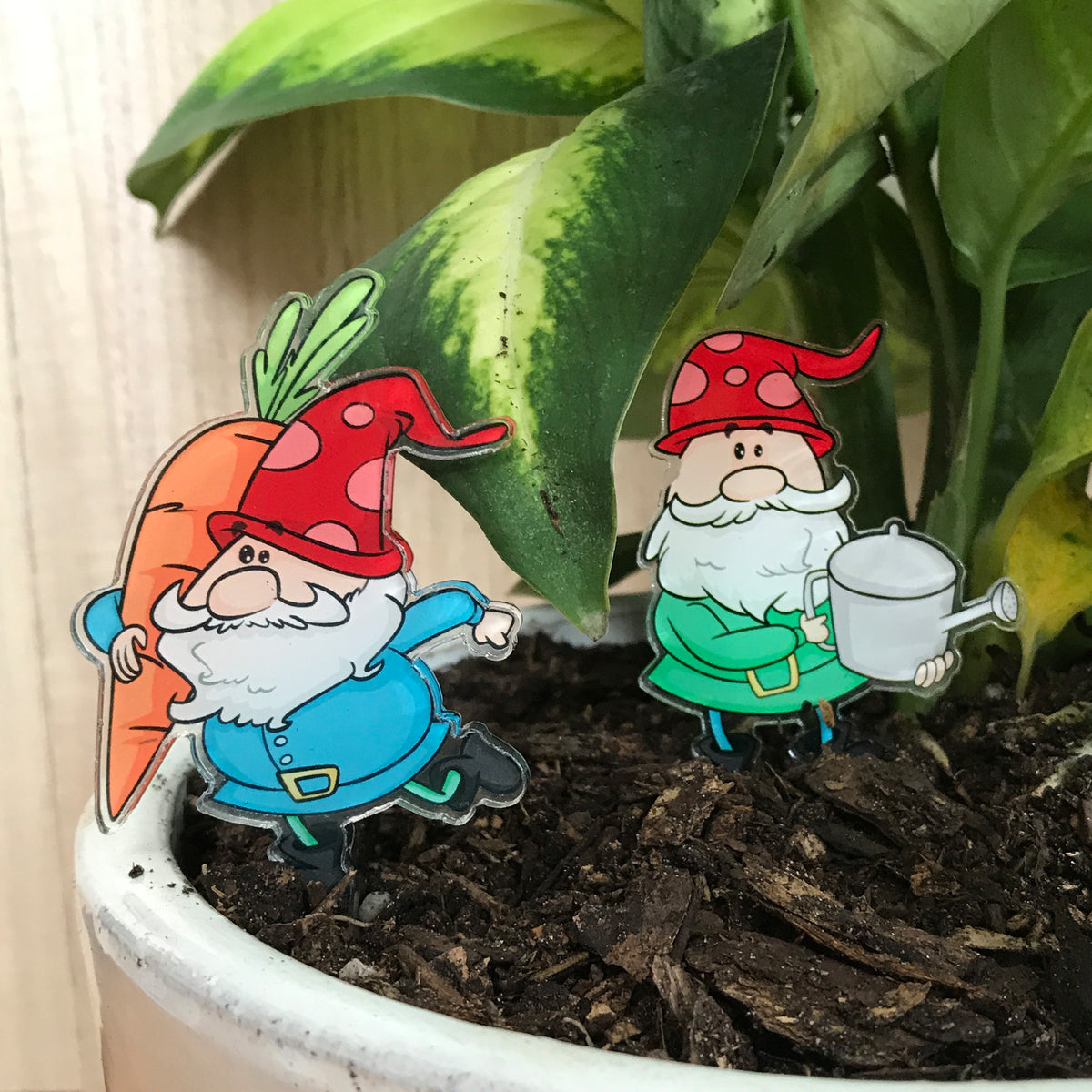 Houseplant Gnomes / Indoor Plant Markers / Gardening Gang