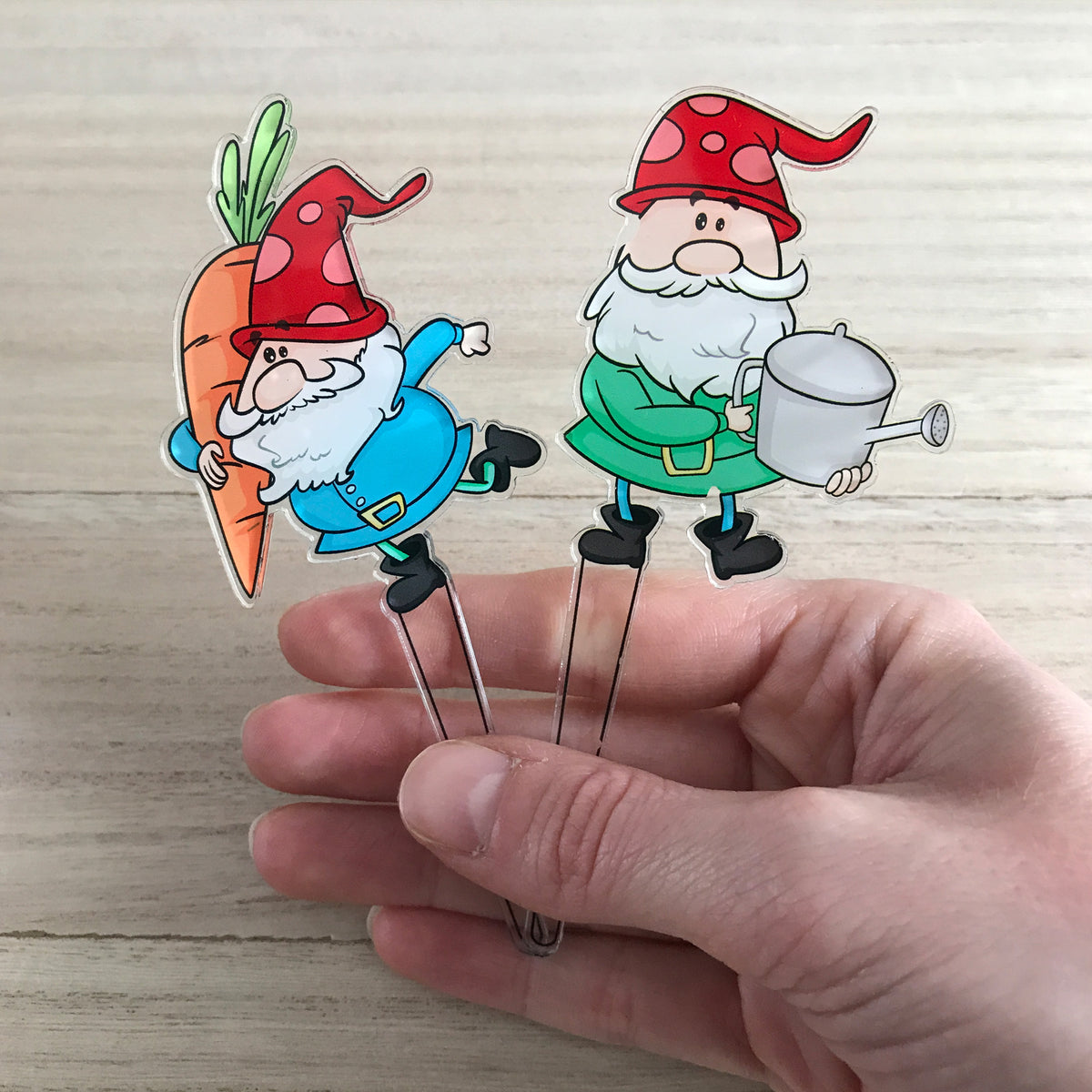 Garden Gift Box - Houseplant Gnome Markers