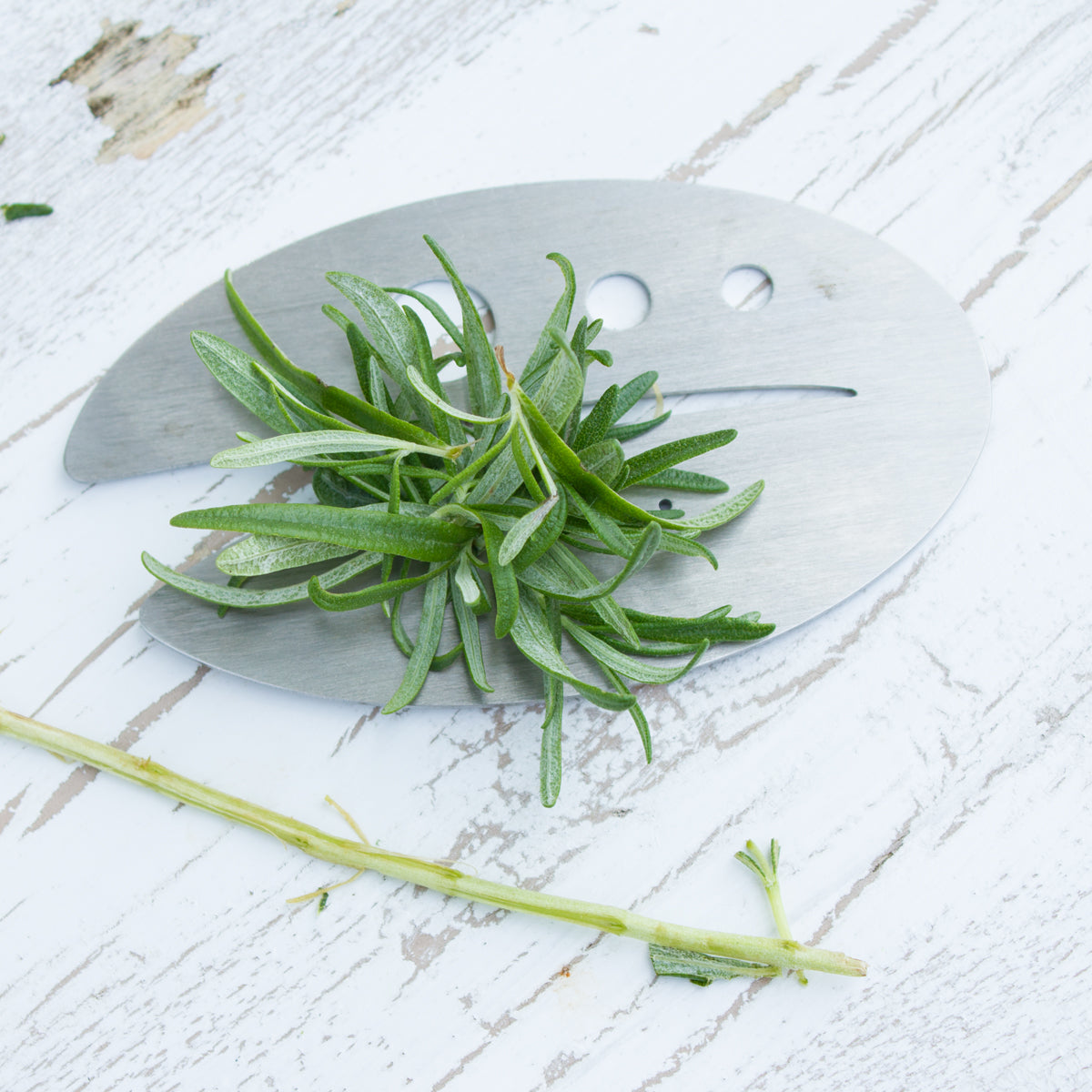 Herb Razor Kale Razor - Kale and Herb Stripping Tool - Raw Rutes