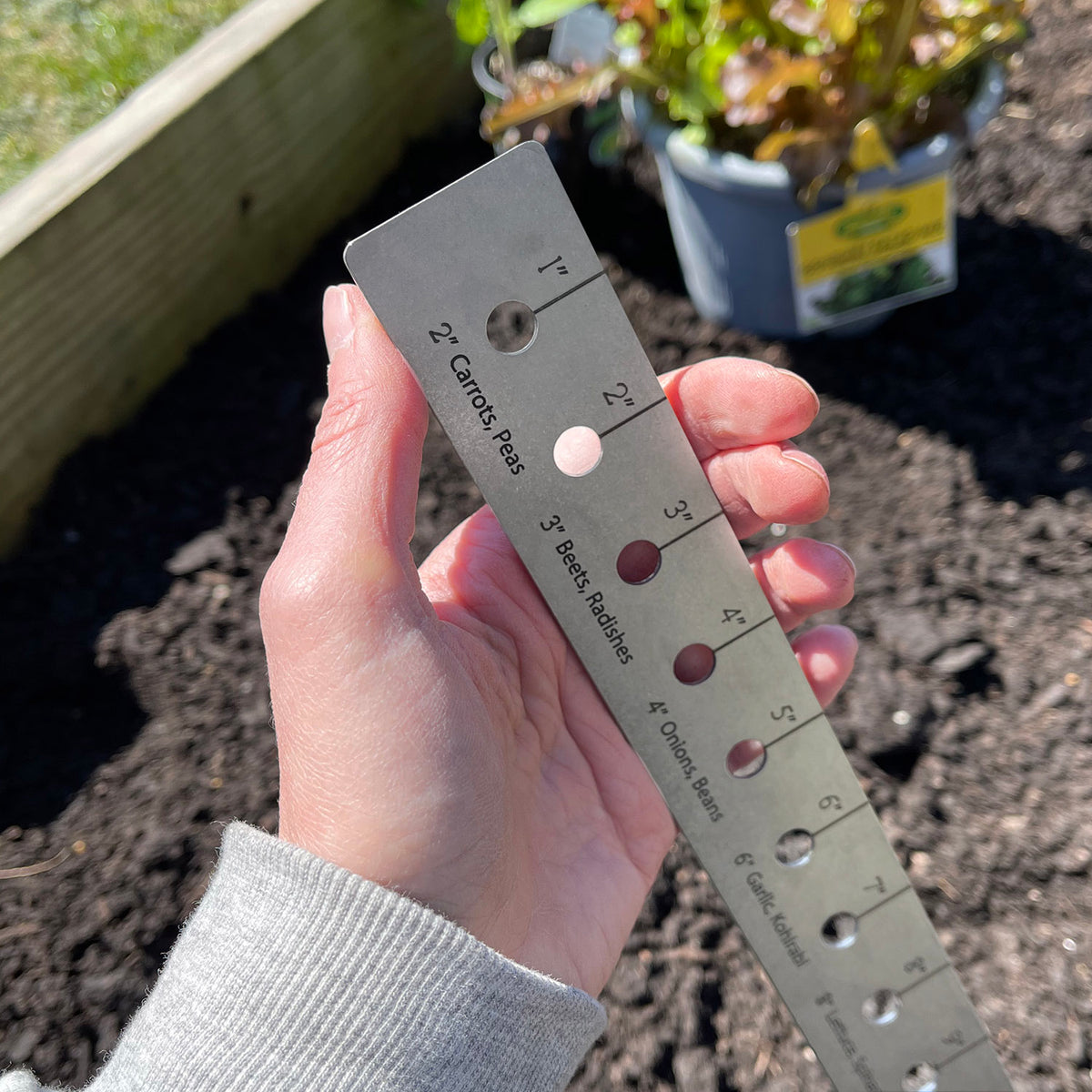  12-Hole Seed-in Soil Digger Soil Spacer Small Garden Seeds  Spacer Hand Held Garden Hole Punch Dibbler Tool for Planting Seeds : Patio,  Lawn & Garden